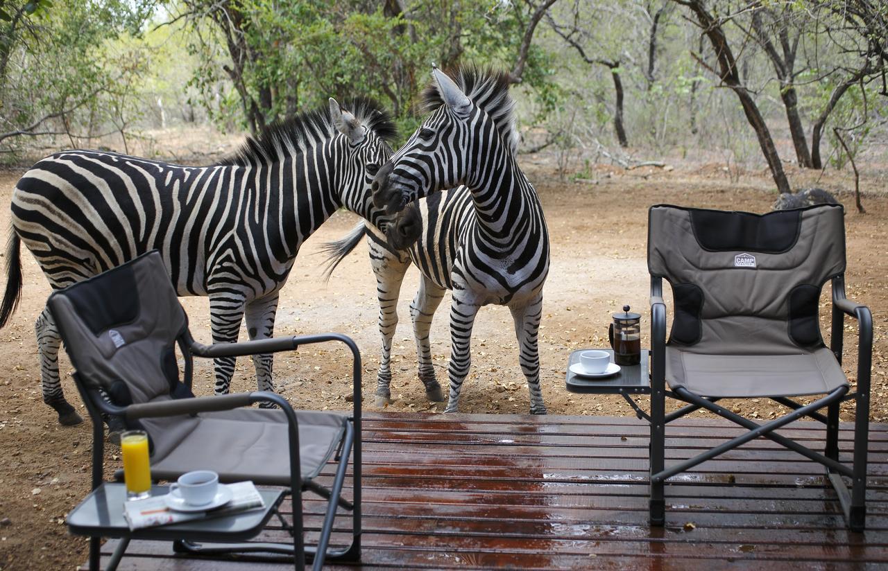 Tusk Bush Lodge Marloth Park Extérieur photo