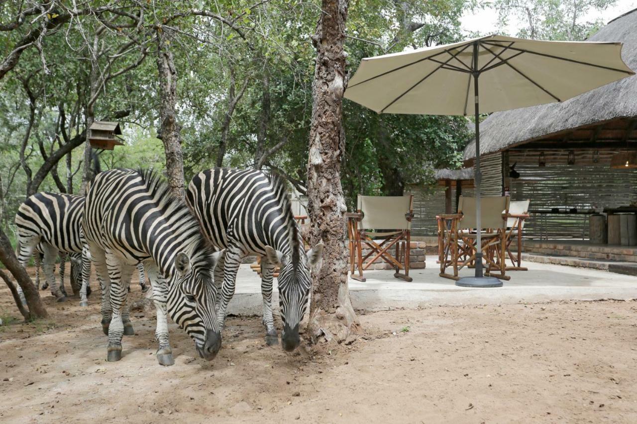 Tusk Bush Lodge Marloth Park Extérieur photo