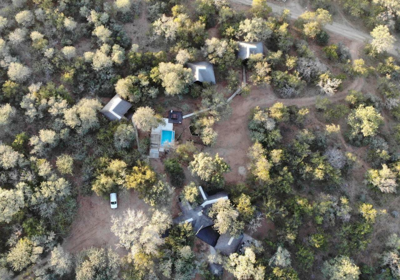 Tusk Bush Lodge Marloth Park Extérieur photo