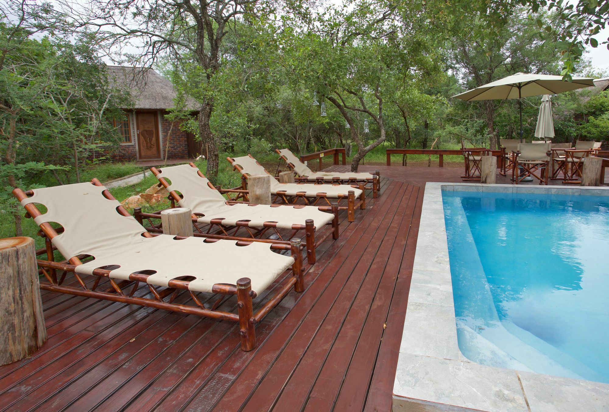 Tusk Bush Lodge Marloth Park Extérieur photo