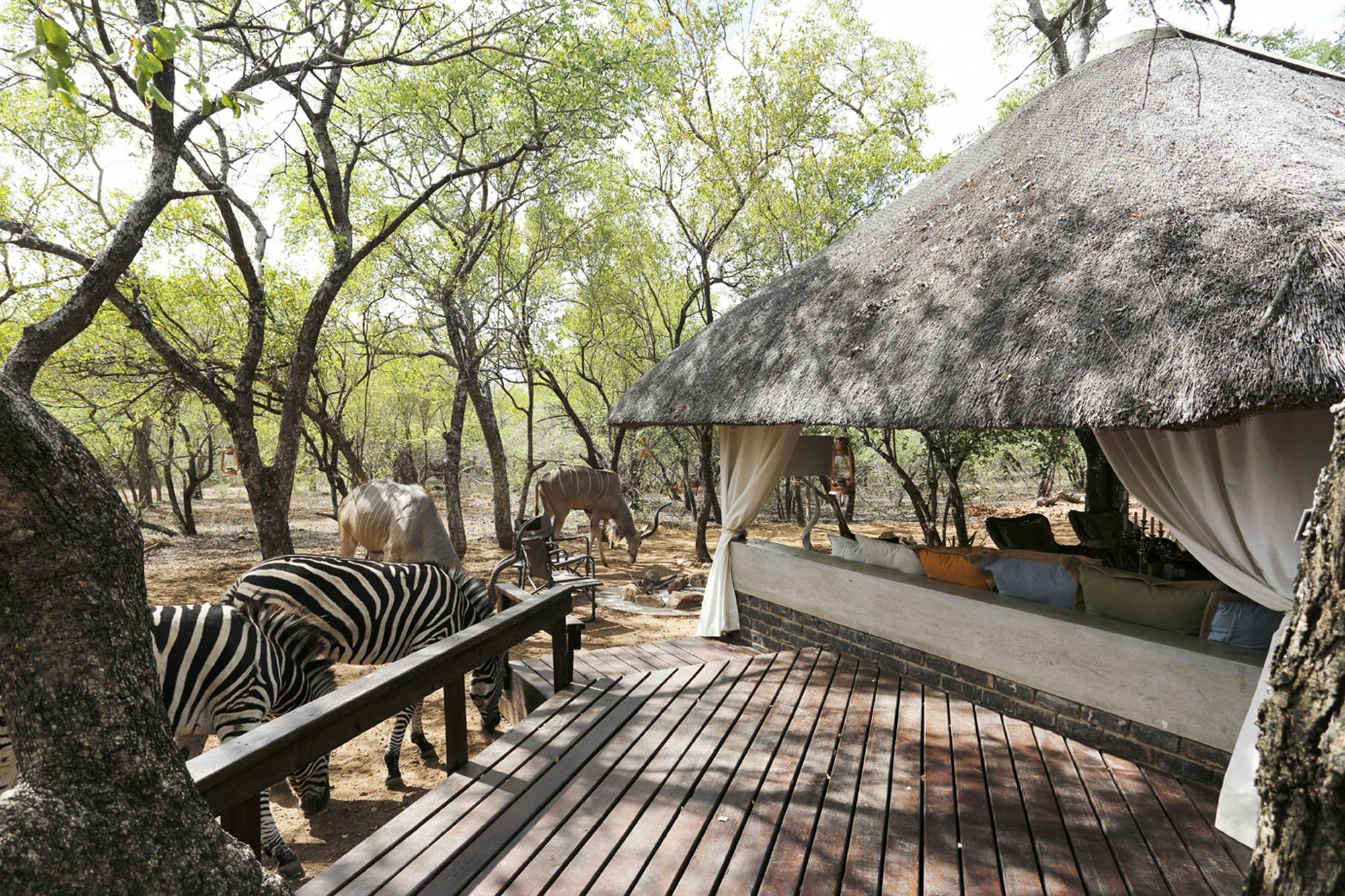 Tusk Bush Lodge Marloth Park Extérieur photo