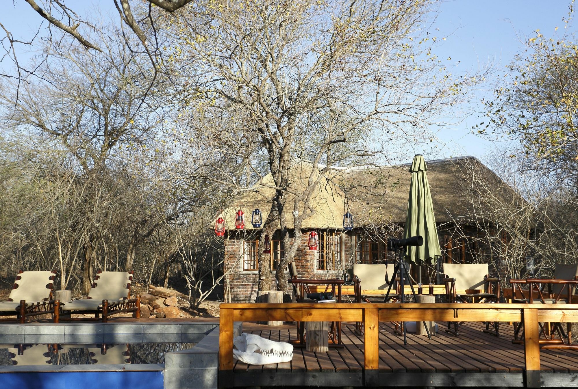 Tusk Bush Lodge Marloth Park Extérieur photo