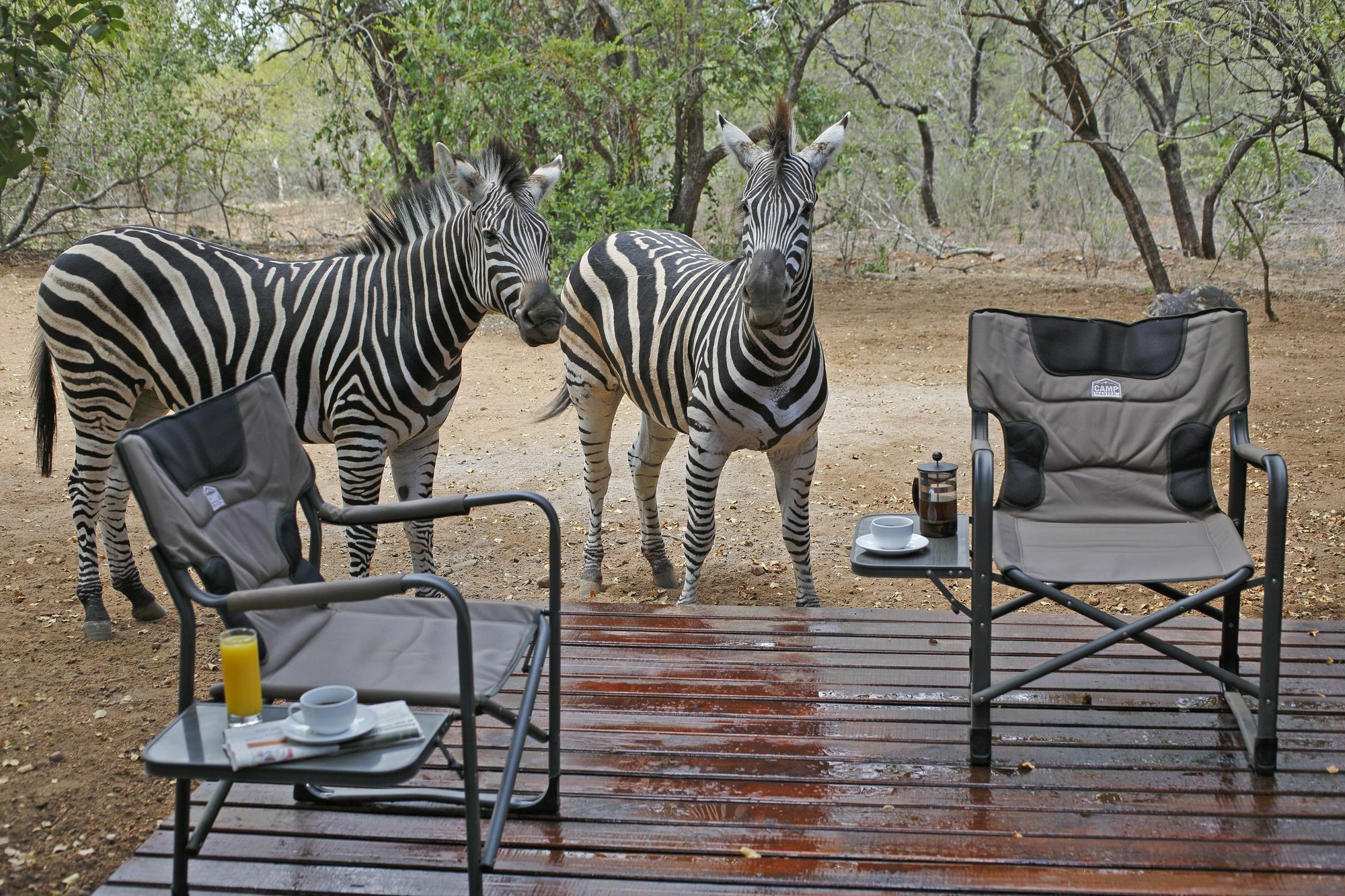 Tusk Bush Lodge Marloth Park Extérieur photo