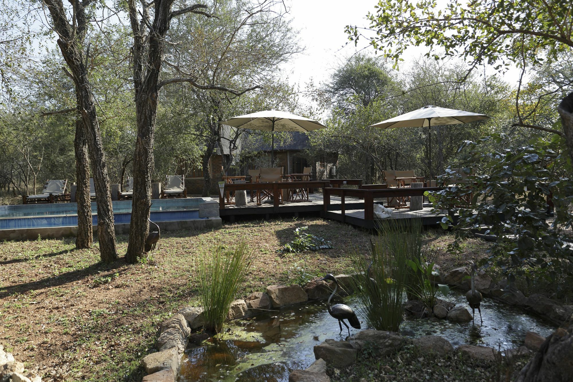 Tusk Bush Lodge Marloth Park Extérieur photo