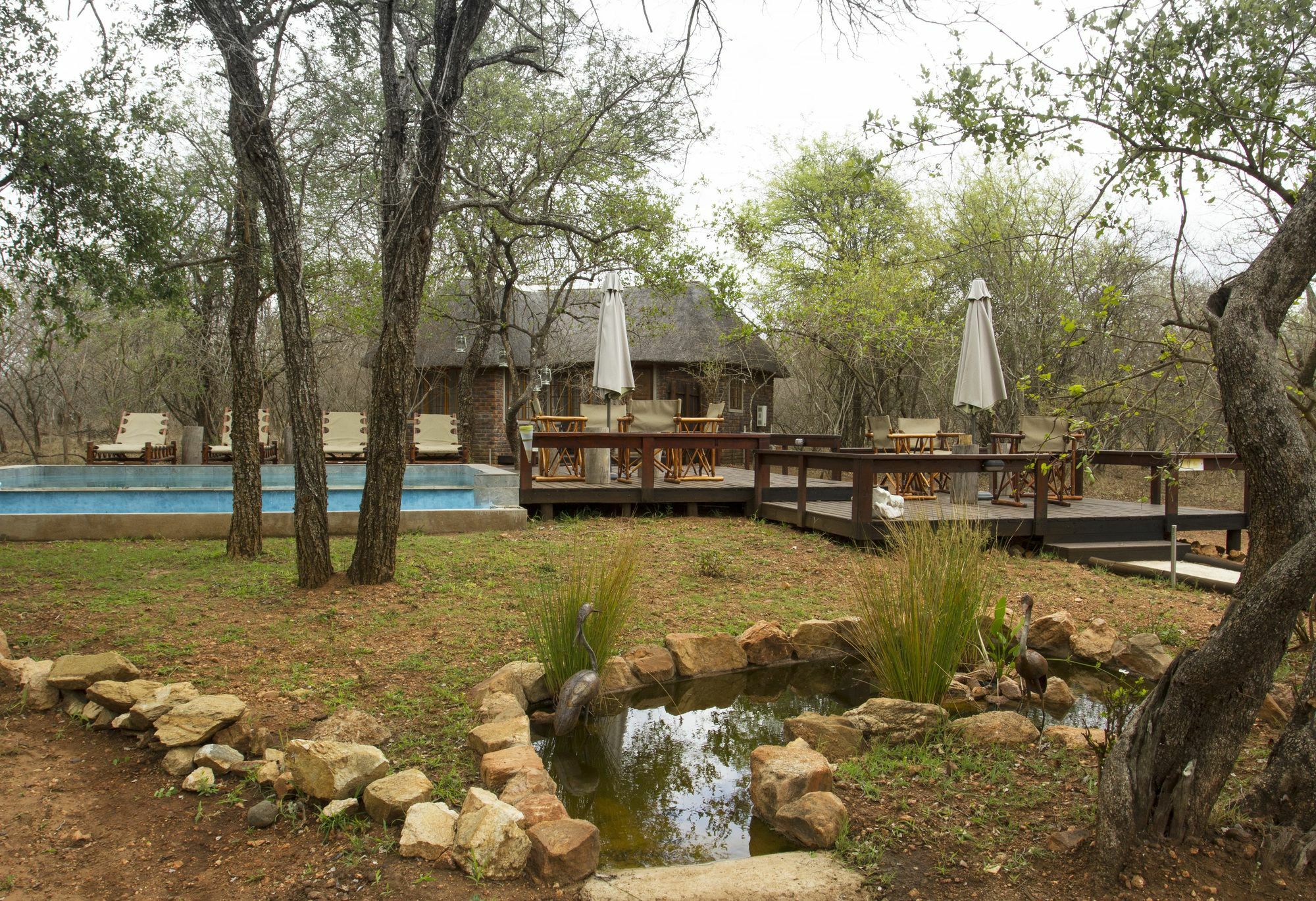 Tusk Bush Lodge Marloth Park Extérieur photo