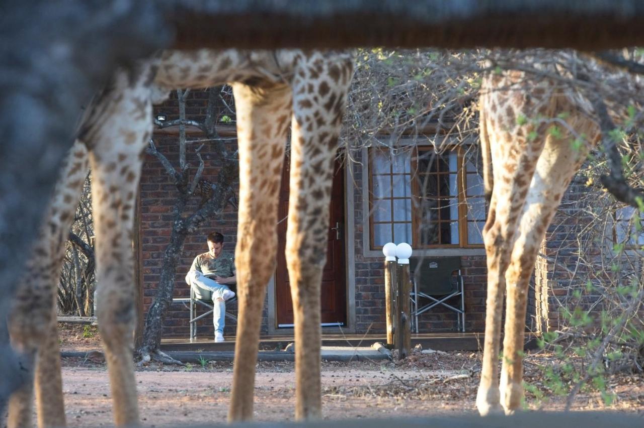 Tusk Bush Lodge Marloth Park Extérieur photo