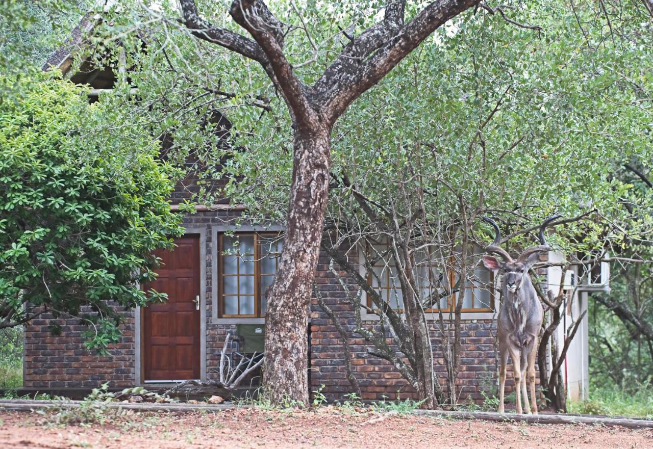 Tusk Bush Lodge Marloth Park Extérieur photo